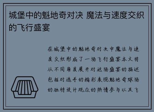 城堡中的魁地奇对决 魔法与速度交织的飞行盛宴